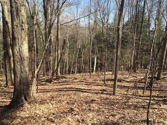 2nd image of 0 GALE HILL Road