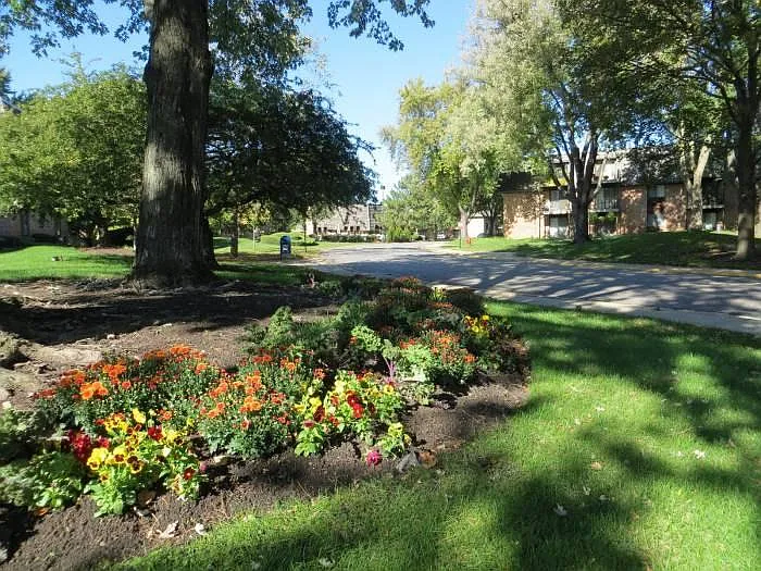 Grounds