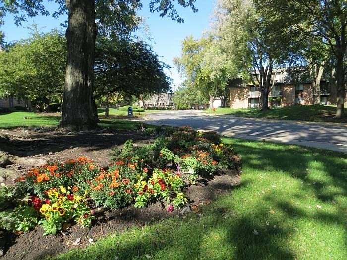 Grounds