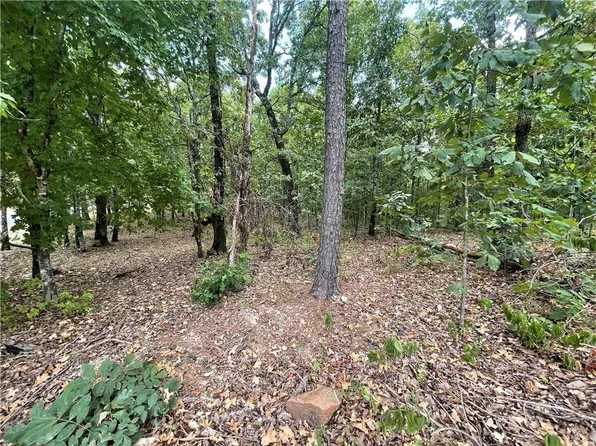 686 Woodland Hills Trail, Broken Bow, OK 74728