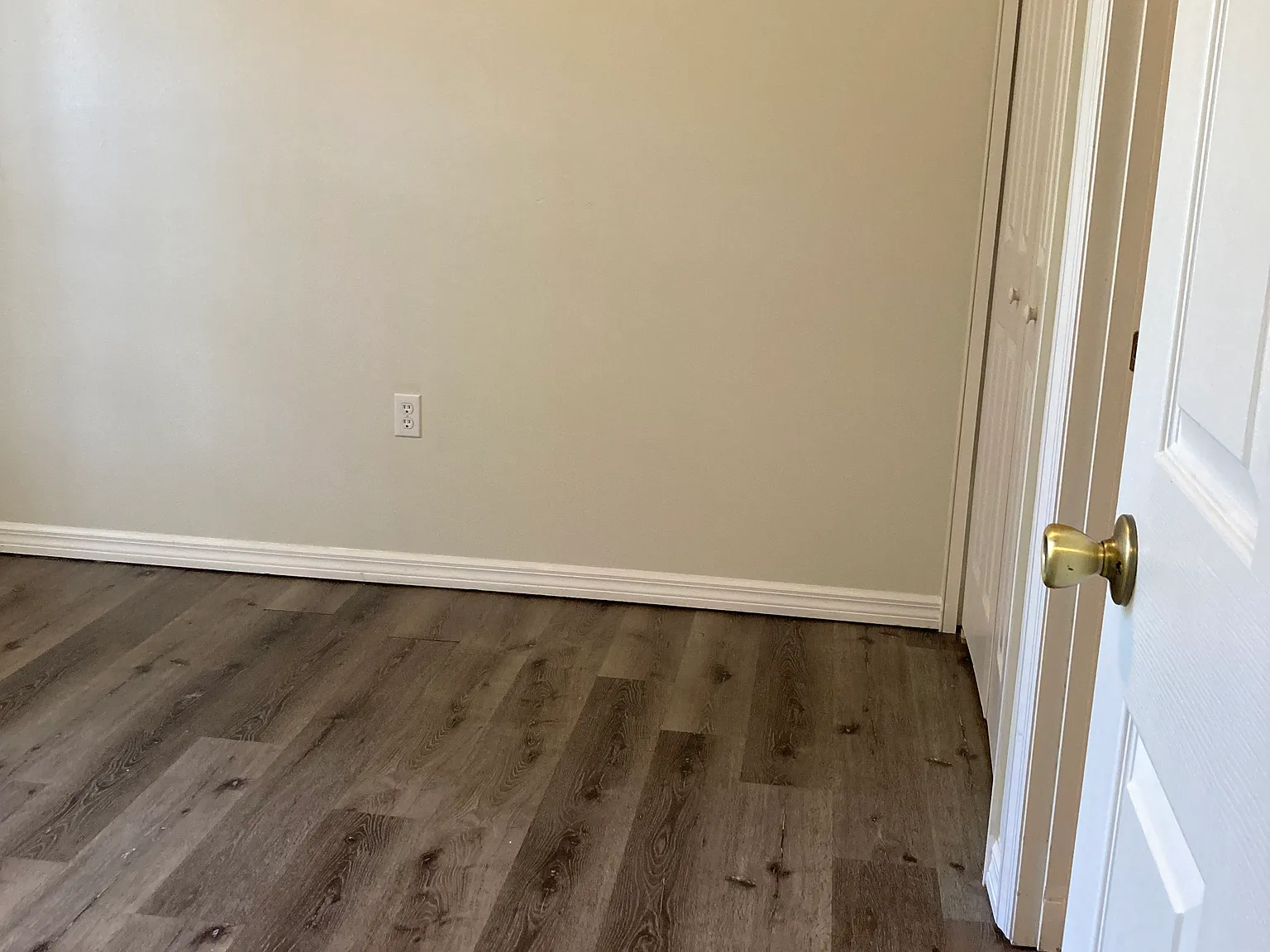 2 bed, 784 sqft, $1,300 — Photo 4