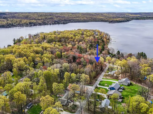 4125 White Birch Dr, Grawn, MI 49637