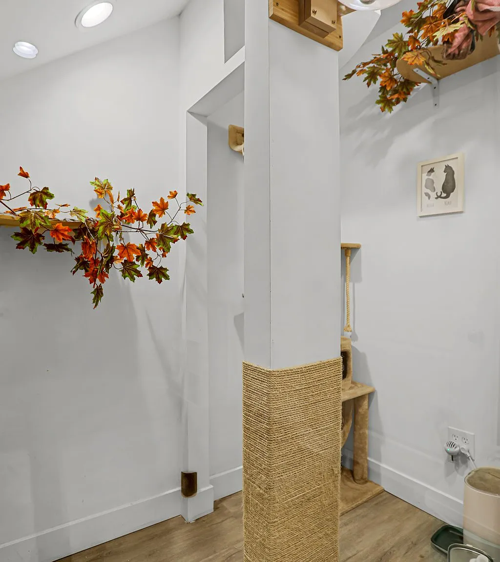 1 bed, 1000 sqft, $1,200 — Photo 3