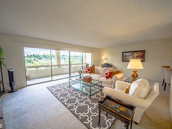 Light-filled living room