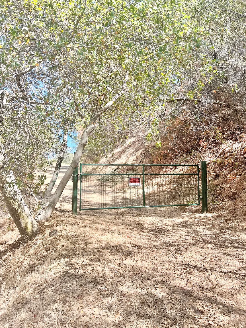 29012 Cassandra Road photo 1