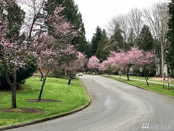 Tree lined entrance into family neighborhood & community of INDIGO.  