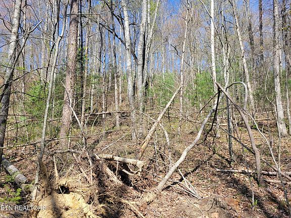 4th image of 13 Honeysuckle Ln Lot 13