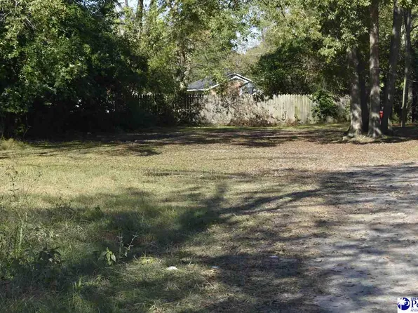 1113 W Sumter St, Florence, SC 29501