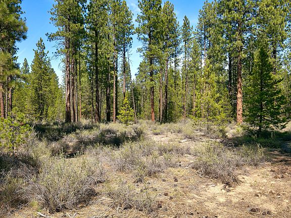 3rd image of 50750 Deer Forest Dr