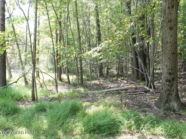 Omaha Trl #22, Pocono Lake, PA 18347