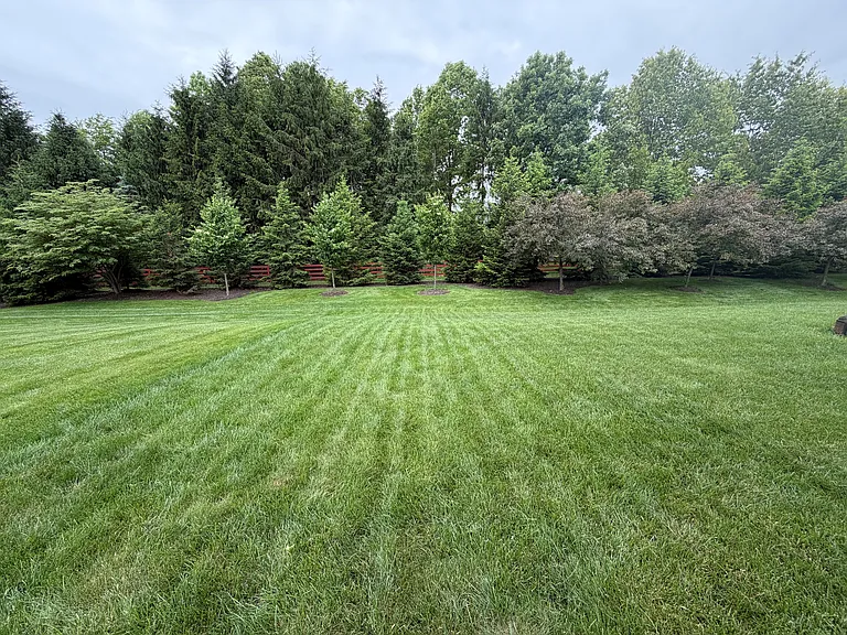 12974 Featherbell Blvd — Photo 17