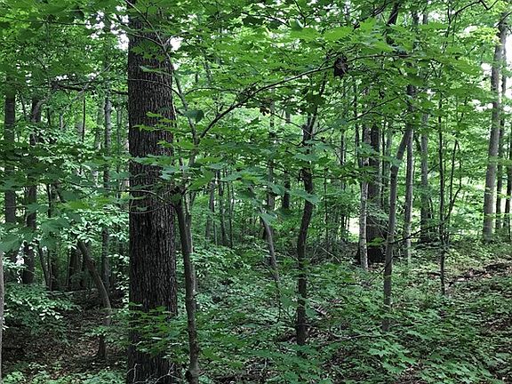 3rd image of 13 Highpoint Blvd