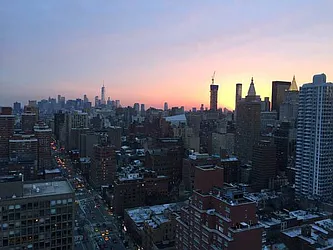 Rented by Bold New York