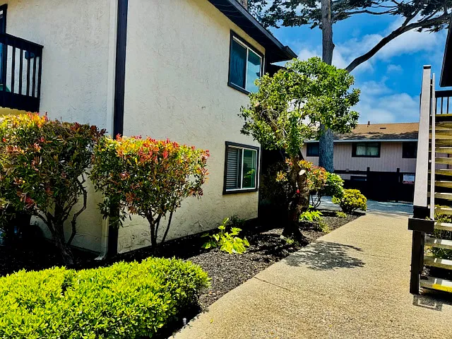 Lake View Terrace — Photo 3
