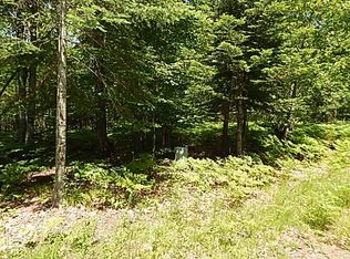 11030 W Kelly Rd, Lake City, MI 49651