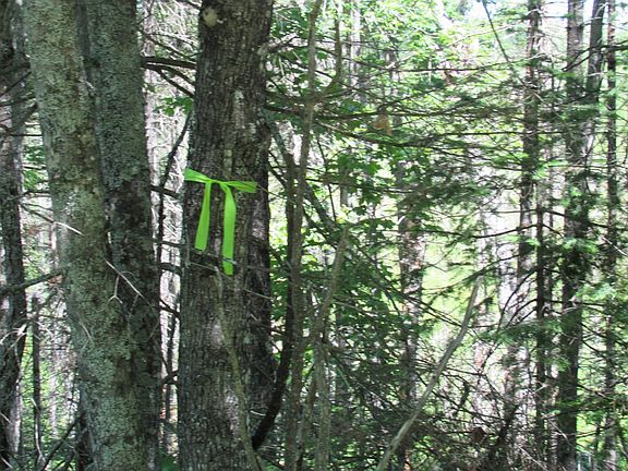 2nd image of County Fl Rd