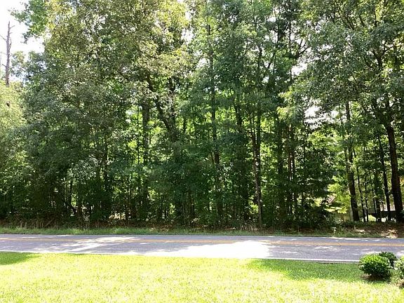 5th image of 509 N Pine Hill Rd