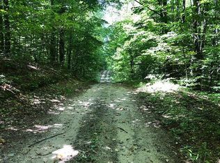 6107 Bocook Rd, Mancelona, MI 49659