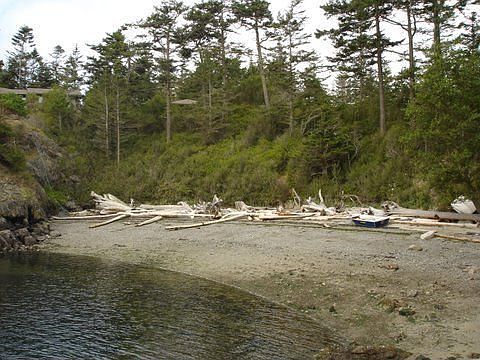 Over 600' of waterfront including 200' +/- easy access sandy beach.