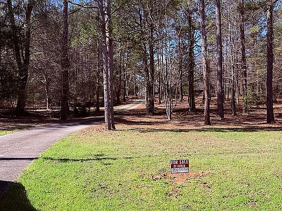 From driveway