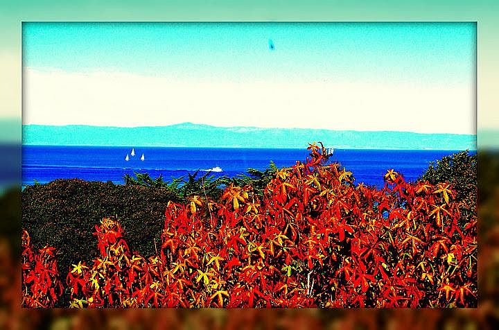 View from Bedroom Window