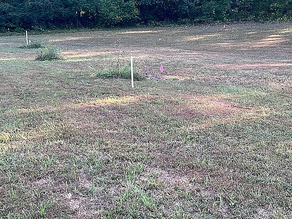 5th image of 1088 Lower River Rd