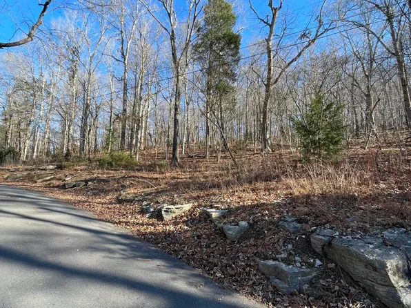 0 Blue Heron Ln, Piney Flats, TN 37686