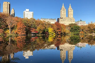 Sold by Undivided Inc