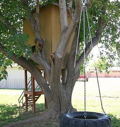 tree house and hugh tire swing