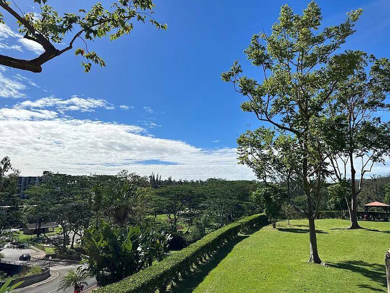Waikalani Pl — Photo 12