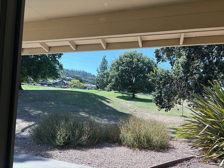 View from dining room