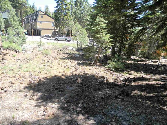 5th image of 1710 Majestic Pines Dr