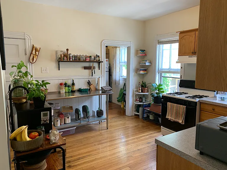 9 Waterhouse St #2 — Photo 17