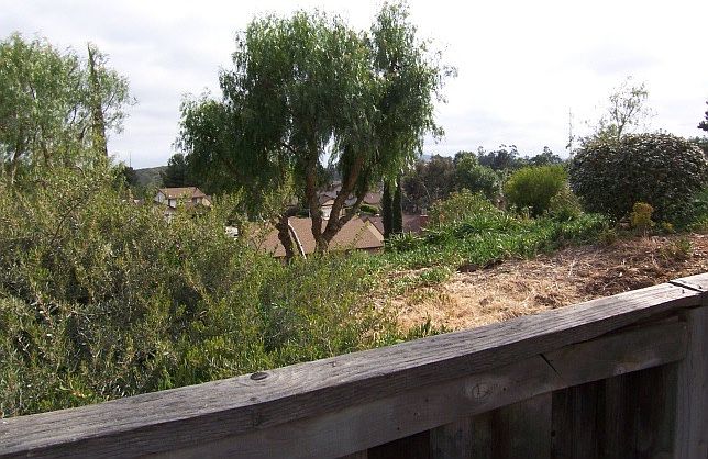 2nd image of 413 Skyridge Ln