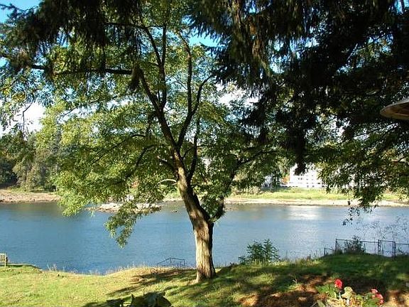 view from patio