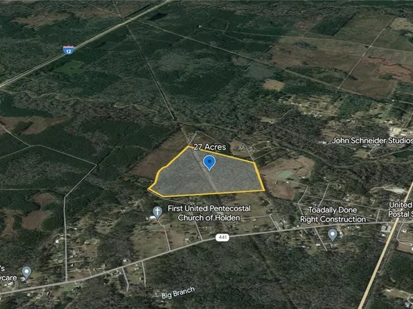 Efferson Rd, Holden, LA 70744