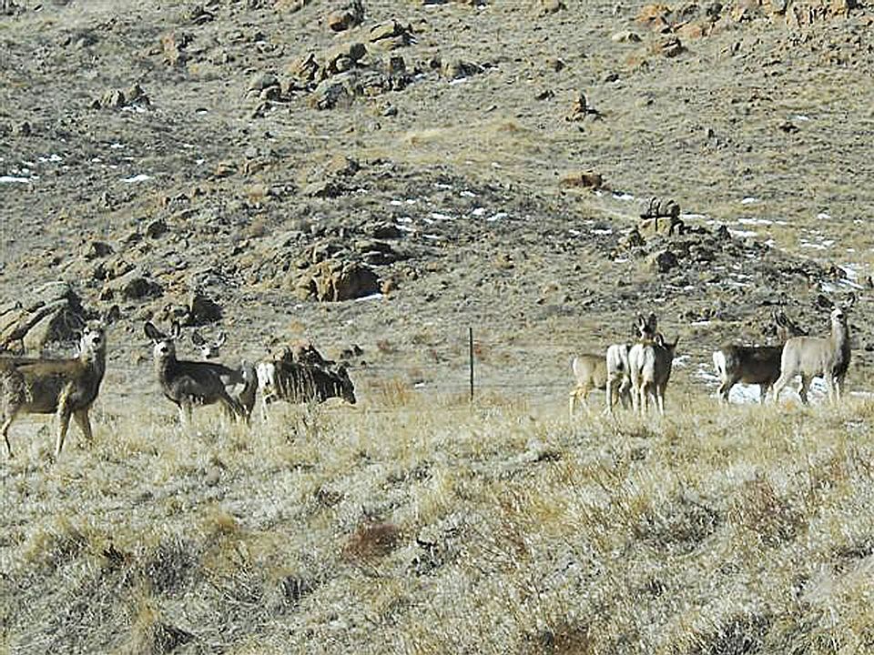 Horse Riding Recreational Property