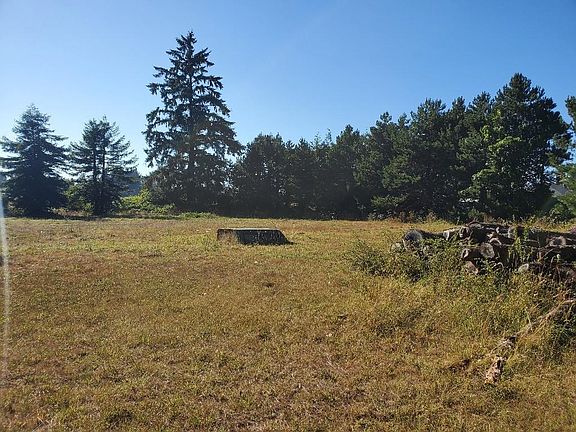 5th image of 4280 Lake Earl Dr
