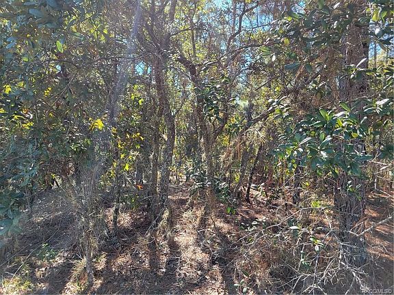 5th image of 4772 W Mohawk Dr