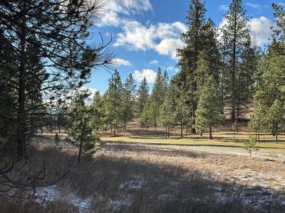 31861 Meadow Rd, Polson, MT, 59860