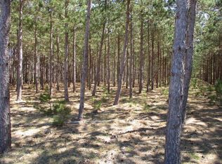 Bittersweet Dr, Manistee, MI 49660