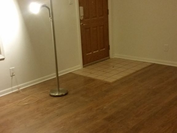 Family Room / Living Room