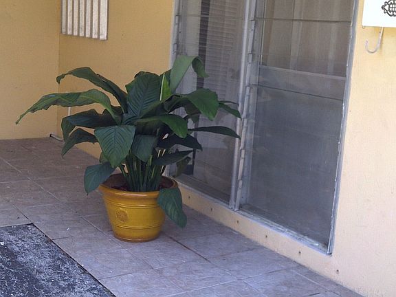 Carport (Tiled border)