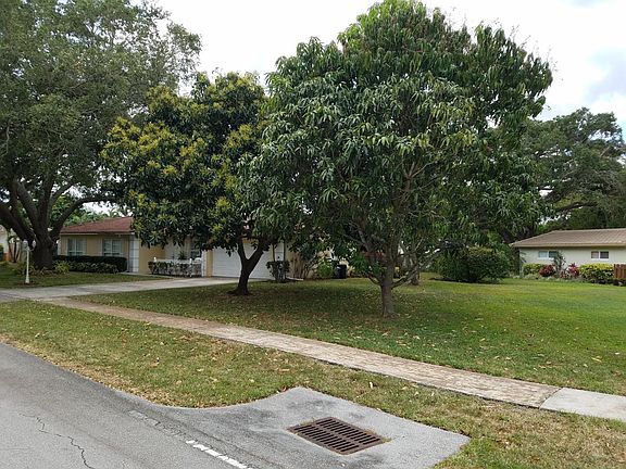 2 Avacado trees 1 Mango Tree