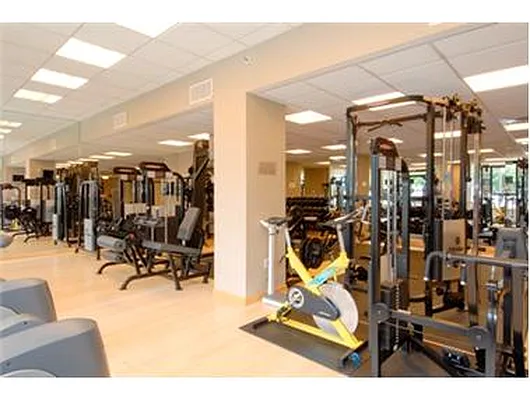 Rented by Douglas Elliman | media 27