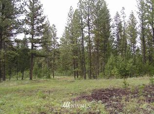 3 Squirrel Rd, Tonasket, WA 98855