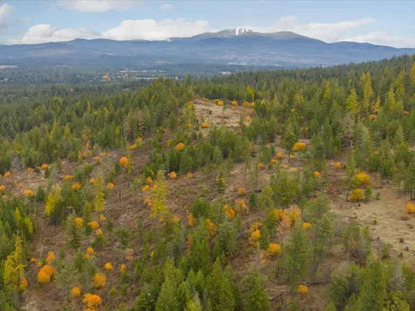 36 N Milan Elk Rd, Chattaroy, WA 99003
