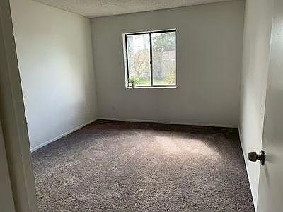 151 Springwood Cir #C — Photo 12