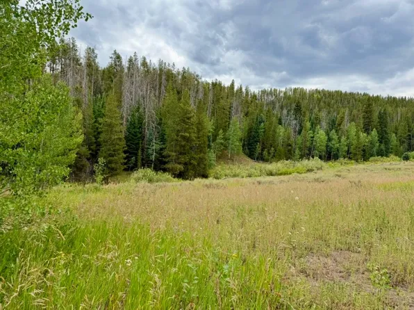 32514 Ute Trl, Oak Creek, CO 80467