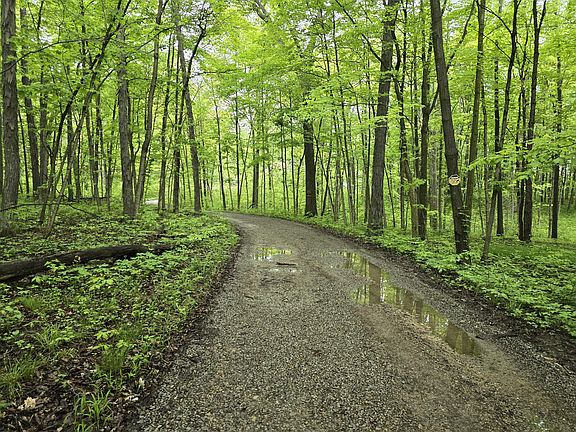 5th image of 4354 County Road 152